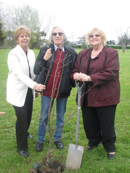 Trees propagated from pear trees grown in Waitakere more than 100 years ago were planted in Cranwell Park this week.   Lending a hand were, from left, Culture And Community Committee chairperson Councillor Judy Lawley, Henderson Community Board member Eli